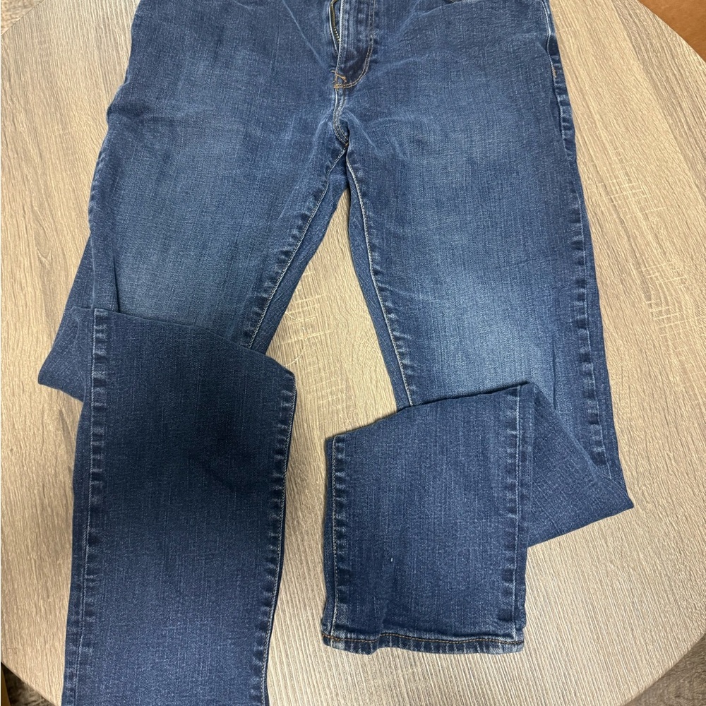 GAP Mens Jeans in Deep Blue
